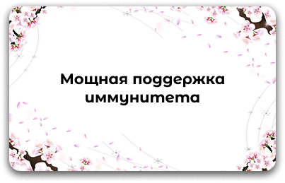 Средства для укрепления иммунитета и защиты организма: витамины, пробиотики, противовирусные, адаптогены