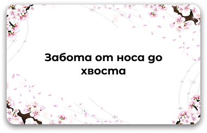 Средства для здоровья домашних животных: витамины, уход, питание, гигиена, ветеринарные препараты